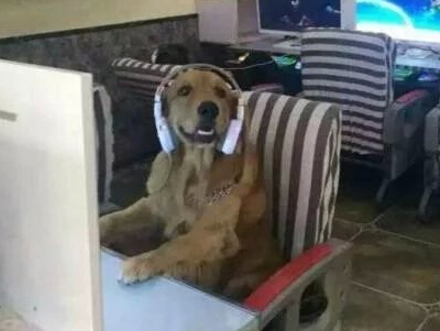 �Ƚ������������������������