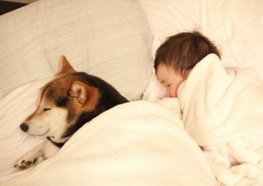 ������������QQ���������˸�Hello Kitty