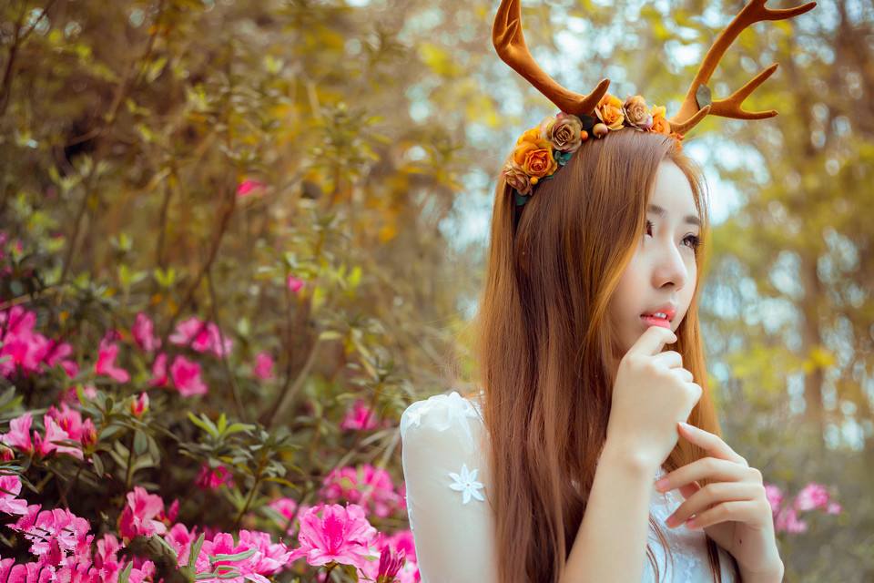 ����ɭϵΨ������������ȫ��������Ů��ɭϵ����