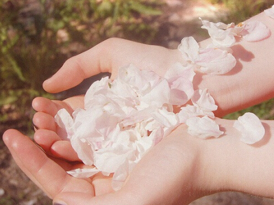 �߸��ֵ�Ψ������