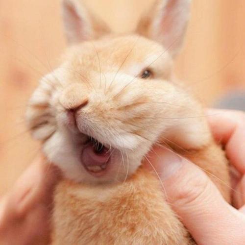 ���ص������ֵĳ������ּ򵥺ü�-�ɰ���