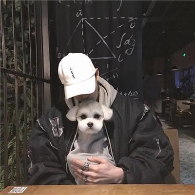 �������ִ�ȫ��������ק����-�ɰ���