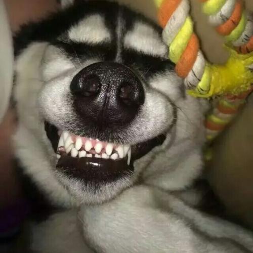 ���ȼ��ȵĳ�������ֱȽ϶���������ʵ-�ɰ���