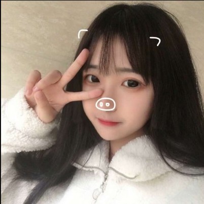 2019Ů�������ŵ�����ר������--�����������