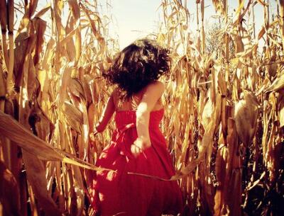 �������������ţ�����ֵ�����������