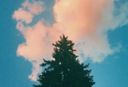 �ĸ��ֺ����������ʵ����� ���ʹ���