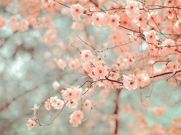 最优雅的网名:╭浅沫☆漓殇〃