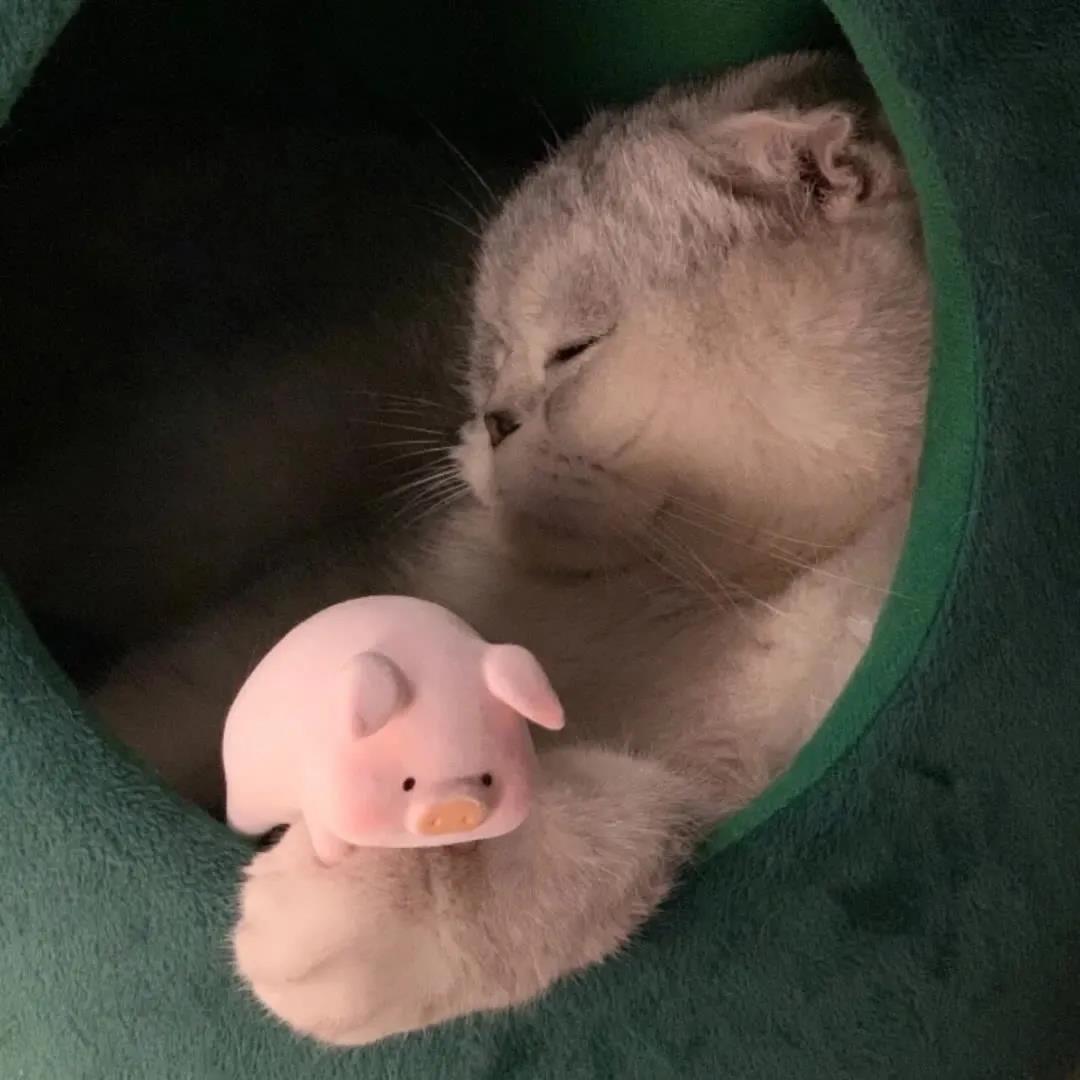 �������Ͱ����ĳ����������������-�ɰ���