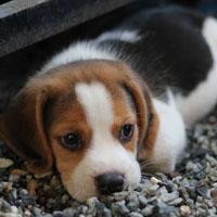 ������ֹ����������ִ�ȫ��������-�ɰ���