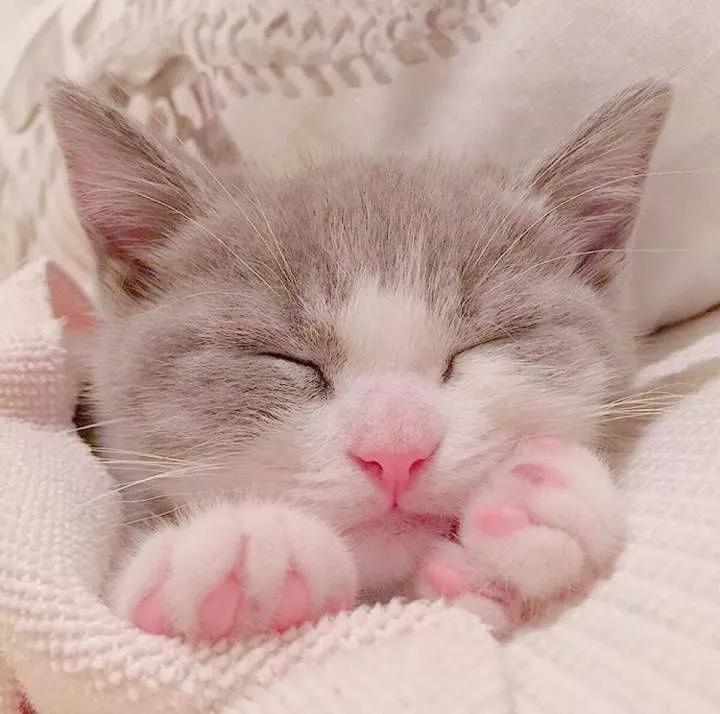 С���³�����������ůů����ҫ������-�ɰ���