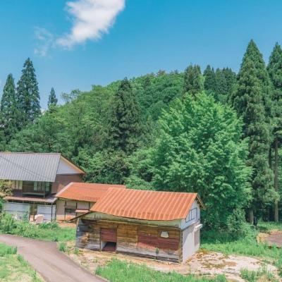 ����Ψ��΢������Ȼ������Ĵ�����-�ɰ���