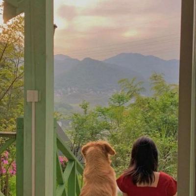 ��δ�������ڴ�����־������������-�ɰ���