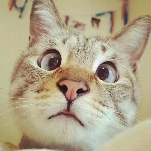 ��ȫ�ĺ����ÿ��ĳ�������-�ɰ���