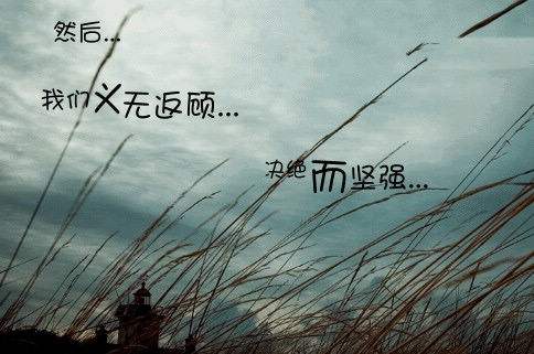 �����˸�Ů������Ψ��������΢������