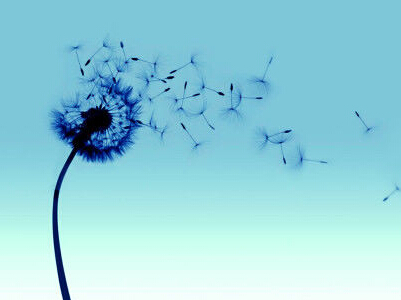 ����ɭϵ�����������֣�������