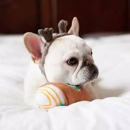 ��ק�����ĳ�������Ŀ������-�ɰ���