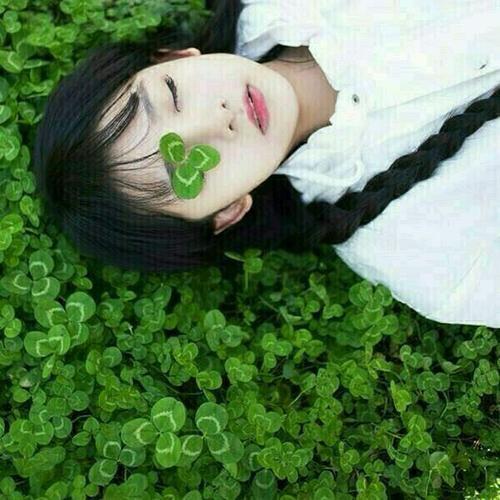 Ψ����ɭϵ�����׸�Ư������-�ɰ���