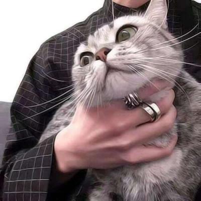 �����ں����������������ְ�������