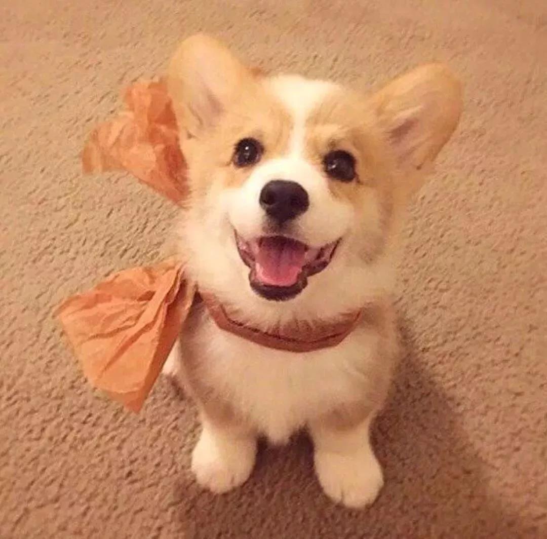 ��С����������ּ�Լ�ɰ���������-�ɰ���