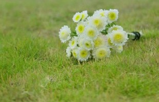 ����������������Ϸ���ƣ��t��ԛm��������