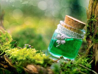 ����ɭϵ�����������֣������