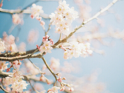 ��������Ϸ���֣����⾳����Ϸ����