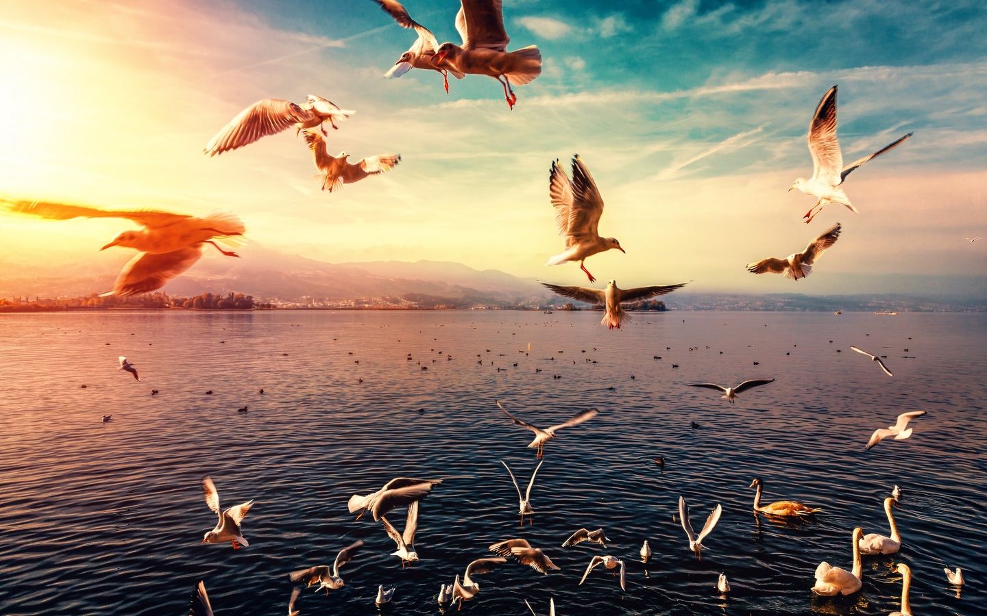 ���¾Ÿ���Ů����������Ϥ�ĵط�û�з羰