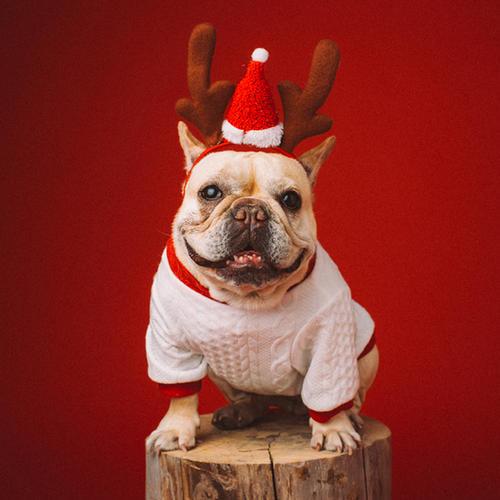 �̵�����˼�������ָֹ�Ц��-�ɰ���