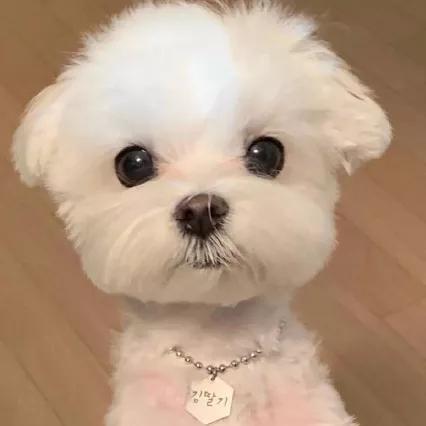 ��ɰ��ĳ��������޴����ŵ�����-�ɰ���