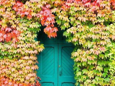 2015�ռ����ƴ�ȫ��ÿ���˶���¶�����ǿ