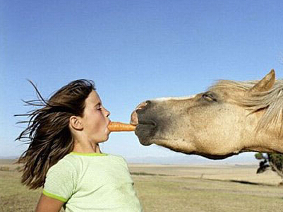 ��������������������������Ϸ����