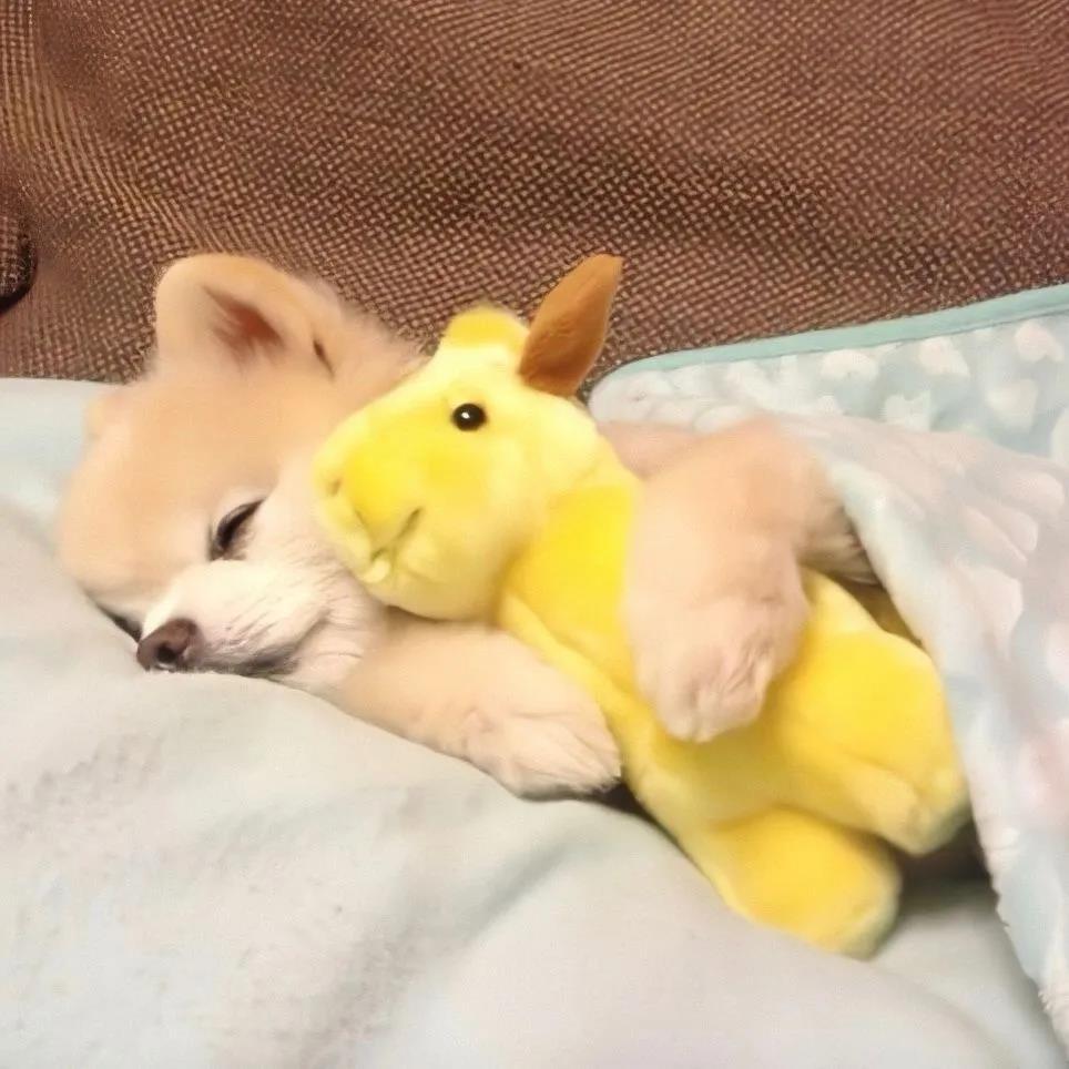 ��ɫ�����İ�����ĳ������ִ�ȫ�����-�ɰ���