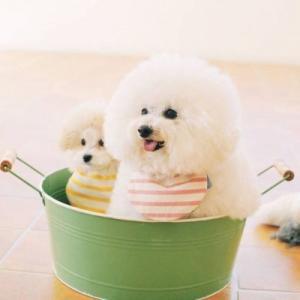 �ÿ��ĳ�������������̬-�ɰ���