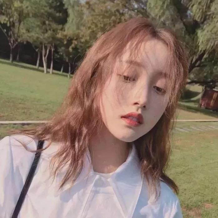 ���˵�����ϵ�������������ľ���