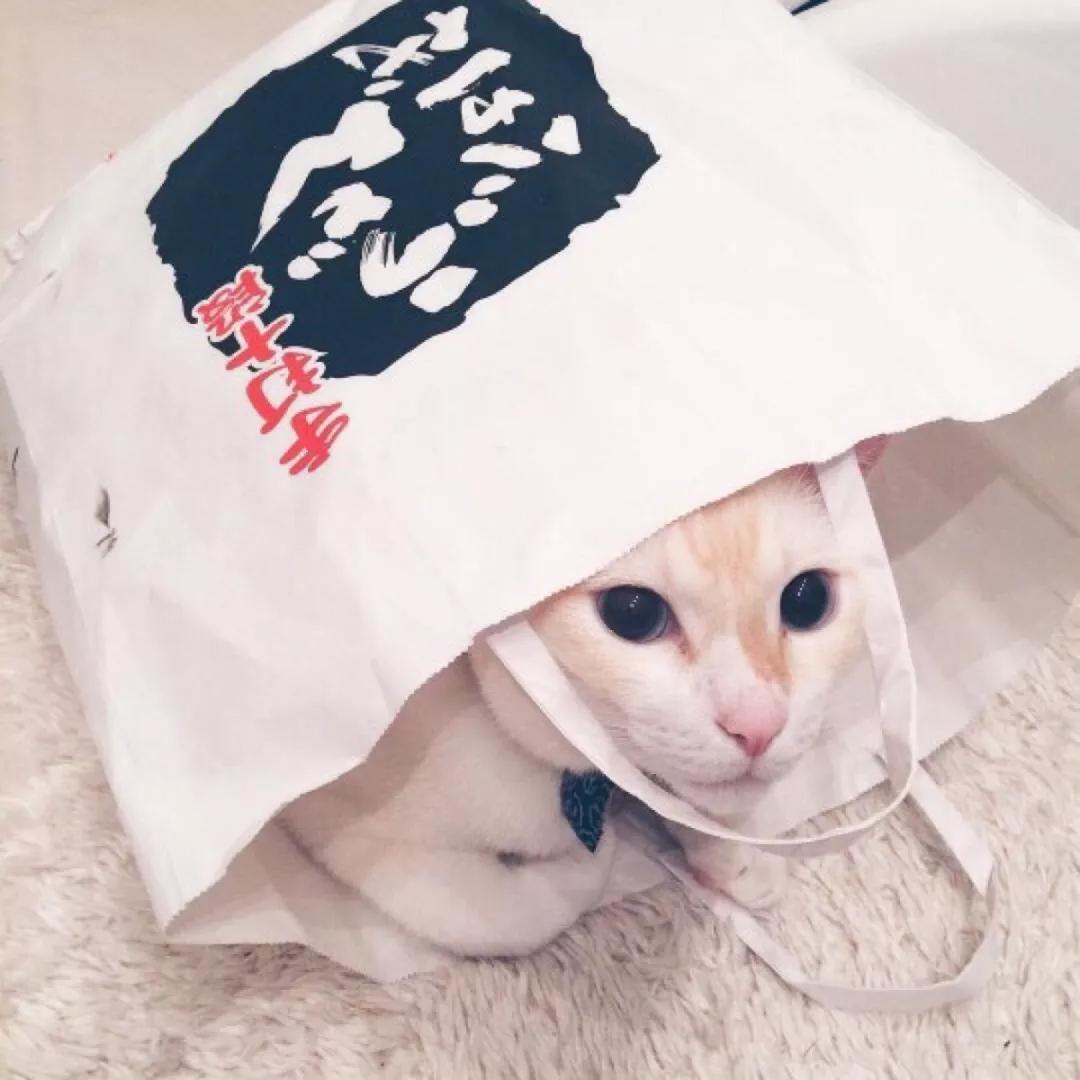 Խ��Խ���еĺ�����������ֳ�����-�ɰ���