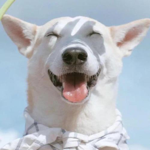 �����ĳ������ִ�ȫ��ͥ�Ŀ���ԴȪ-�ɰ���