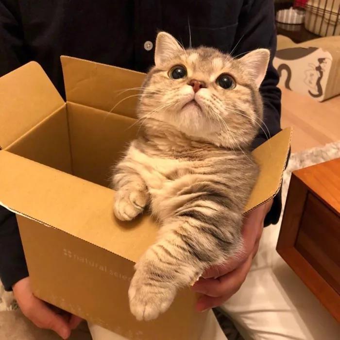 ����ɰ����ִ�ȫ��˳����������-�ɰ���