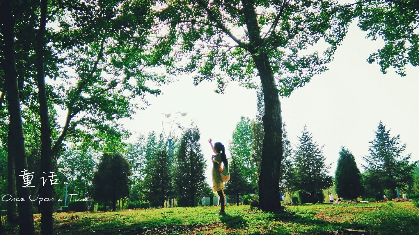 �ɾ���Լ��ɭϵ������������������