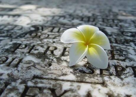 �Ƚ����⾳�����֣���Լ�����⾳������