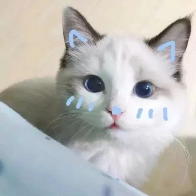 �������ִ�ȫ���������������и���-�ɰ���