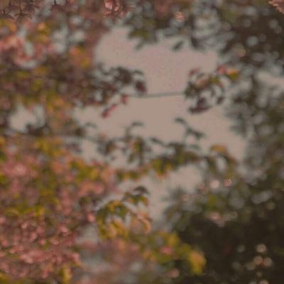 ʫ���ио���Ψ��������������-�ɰ���