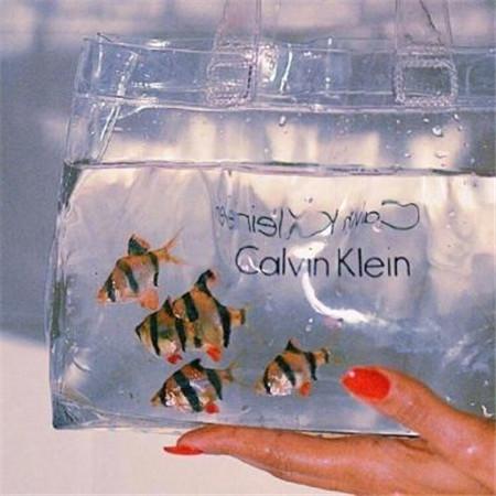 ��л�������Ψ��������������������