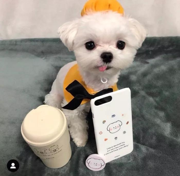 ��������˼�ĳ������ִ�ҵĿ��Ĺ�-�ɰ���