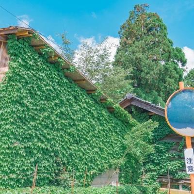 Ů�����غ������ָɾ��������⾳-�ɰ���