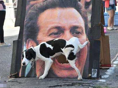 �ۿ۸�Ц������ȫ