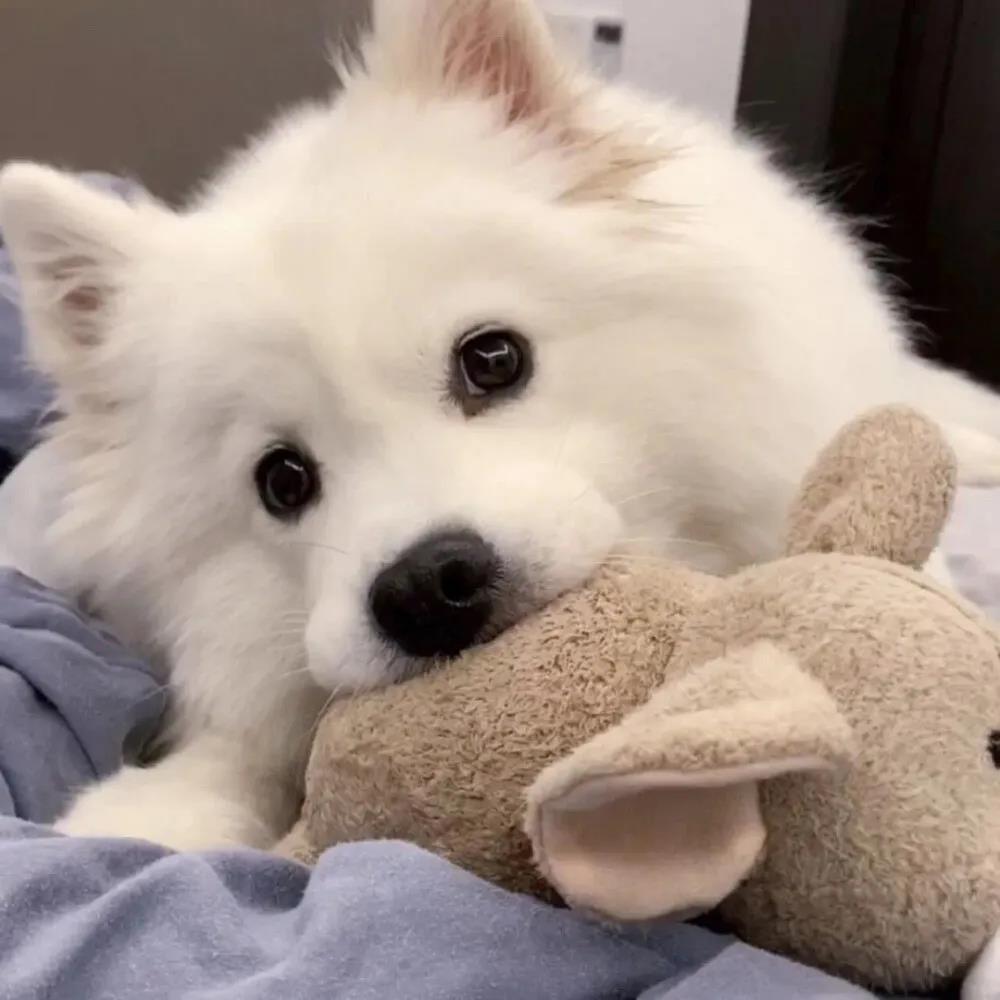 �������ﹷ��������ק�ְ���������-�ɰ���