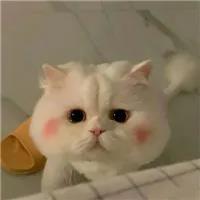 �Ը���������è�ĳ������ִ�ȫ�����з���-�ɰ���