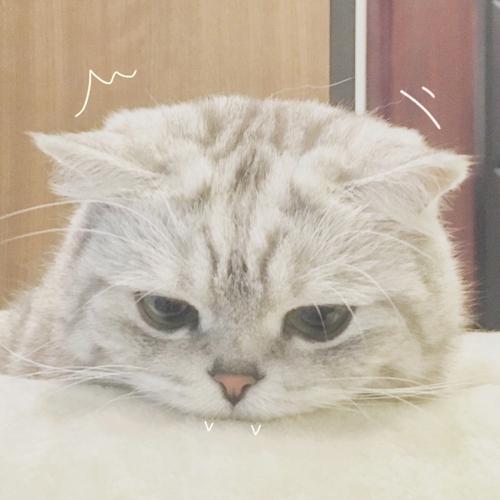 ��ȫ�ĳ������ִ�ȫ�����ճ��ɰ�Ŷ-�ɰ���