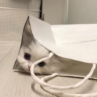 ���Ÿ߹�ĳ�������ǧ�����-�ɰ���