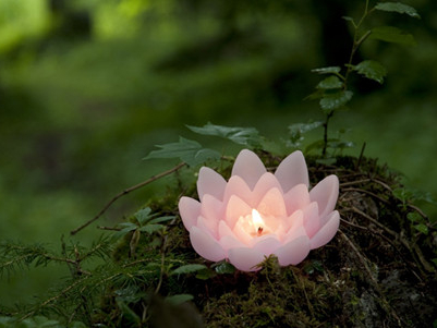 �򵥵��˸�������ȫ�������ͷ�ȵ�����ͷ